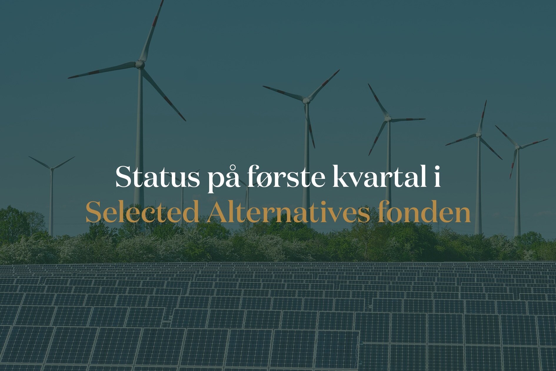 Selected Alternatives fonden, status på første kvartal